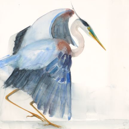 Holly Wach "Oh, to Fly!" shorebird watercolor art