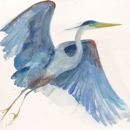 Holly Wach "Oh, to Fly!" shorebird watercolor art