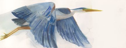 Holly Wach "Oh, to Fly!" shorebird watercolor art