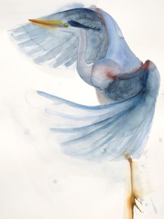 Holly Wach "Oh, to Fly!" shorebird  watercolor art