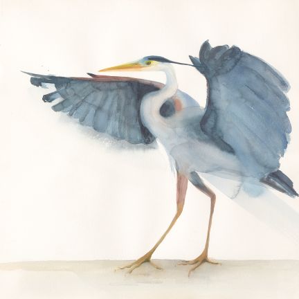Holly Wach "Oh, to Fly!" shorebird watercolor art