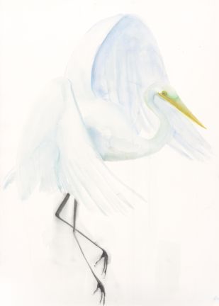 Holly Wach "Oh, to Fly!" shorebird watercolor art