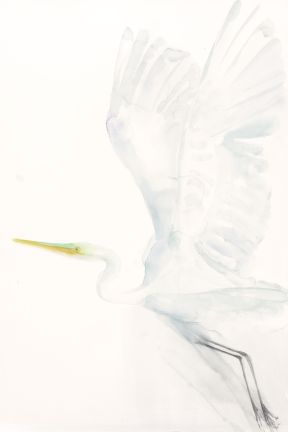 Holly Wach "Oh, to Fly!" shorebird watercolor art