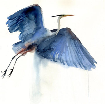 bird watercolor art painting of a heron flying
