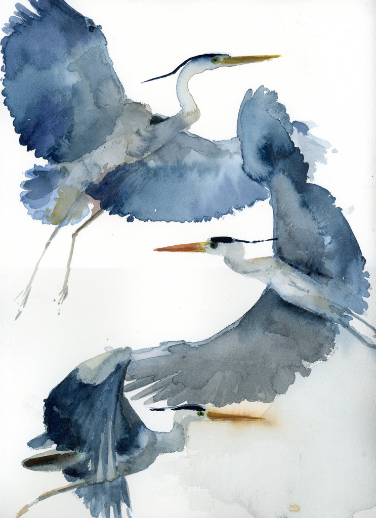 Holly Wach watercolor bird greeting cards