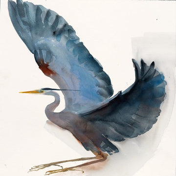 Holly Wach bird watercolor art painting of a heron flying