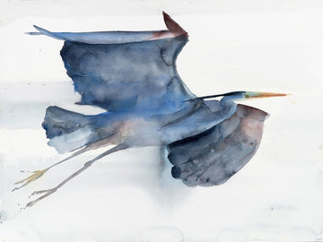 Holly Wach a watercolor bird art painting of a great blue heron