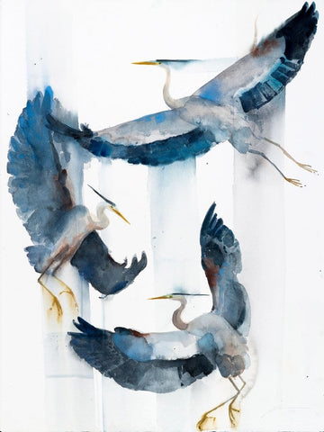 Holly Wach's bird watercolor art painting of herons flying