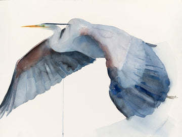 Holly Wach's bird watercolor art painting of a heron flying