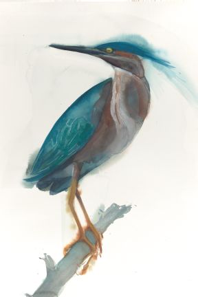 Holly Wach "Oh, to Fly!" shorebird watercolor art