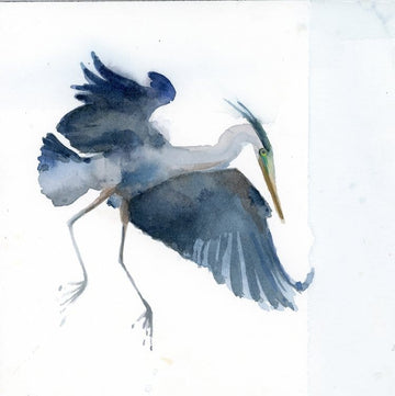 Holly Wach bird watercolor art painting of a heron flying