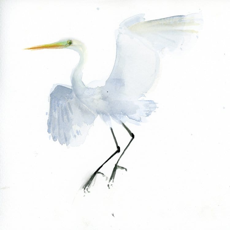 Holly Wach bird watercolor art painting of a snowy egret