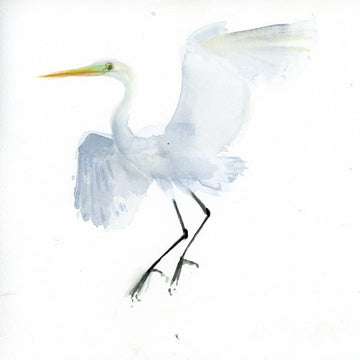 Holly Wach bird watercolor art painting of a snowy egret