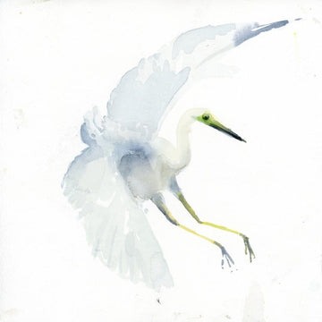 Holly Wach bird watercolor art painting of a snowy egret