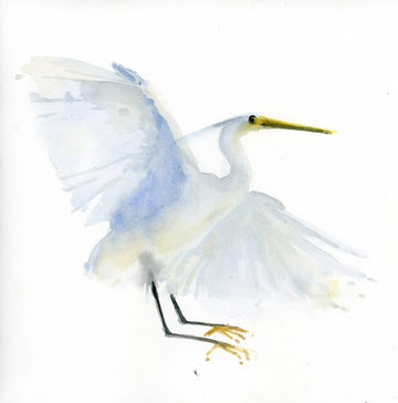 Holly Wach bird watercolor art painting of a snowy egret