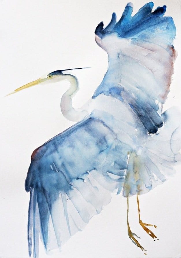 bird watercolor art painting of a heron in flight