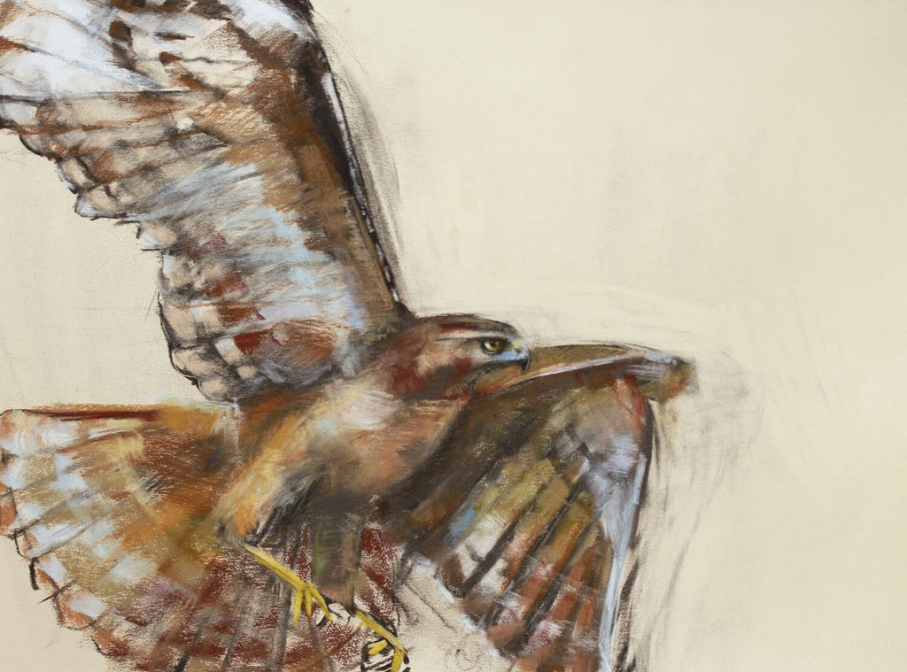 Holly Wach’s original raptor pastel artwork