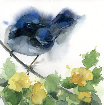 Holly Wach "Songbirds & Friends" songbird watercolor prints