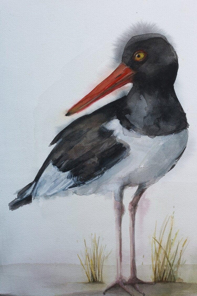 Holly Wach original shorebird watercolor painting