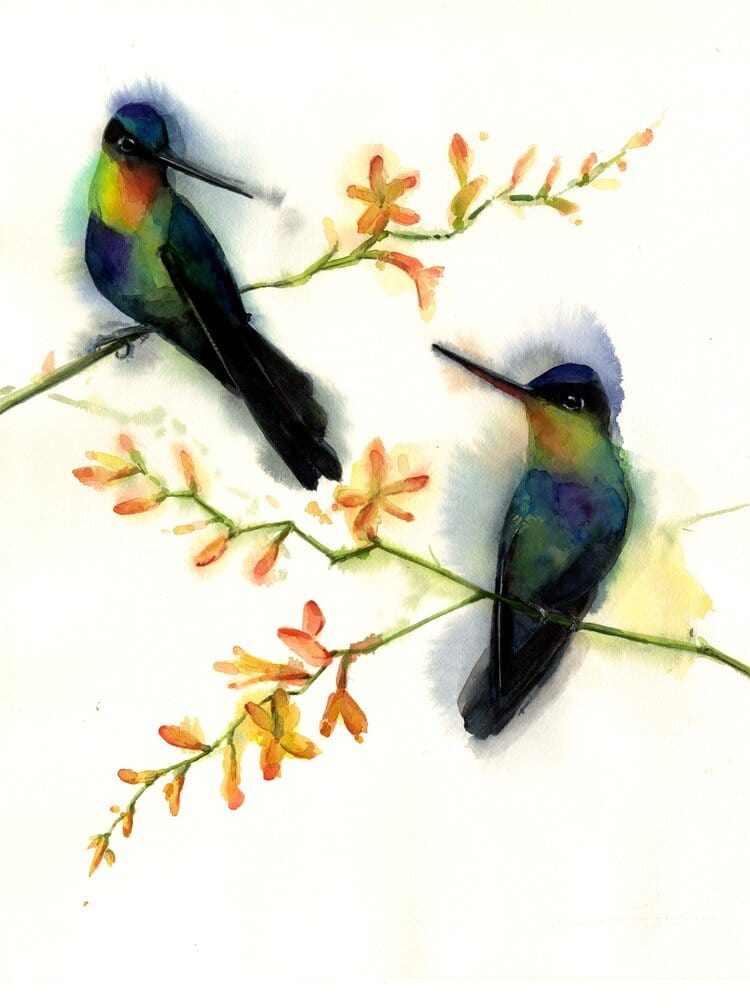 Holly Wach original hummingbird watercolor