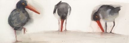 Holly Wach "Oh, to Fly!" shorebird watercolor art