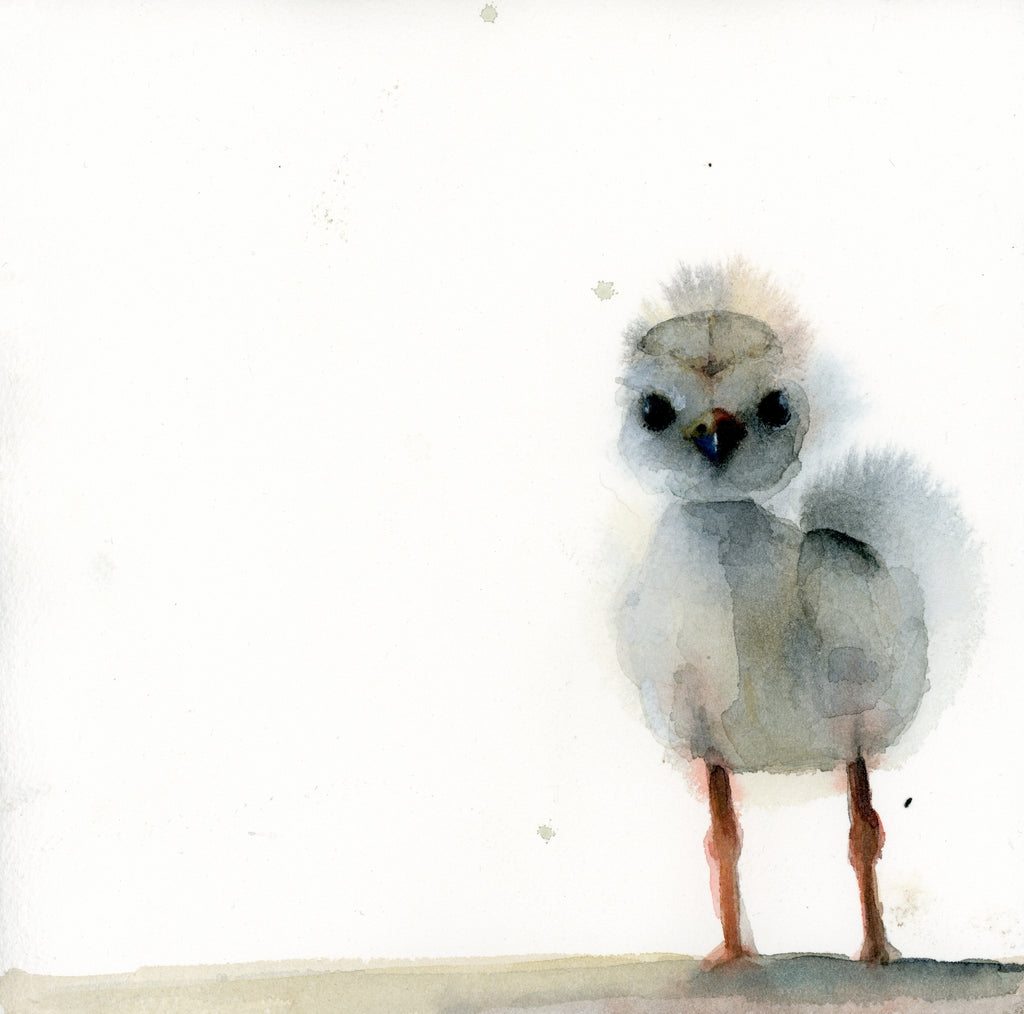 Holly Wach watercolor bird greeting cards