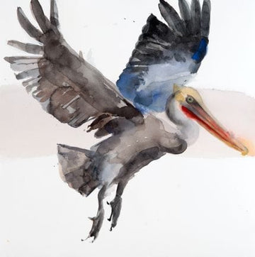 Holly Wach's watercolor bird art flying pelican in the air with a smile
