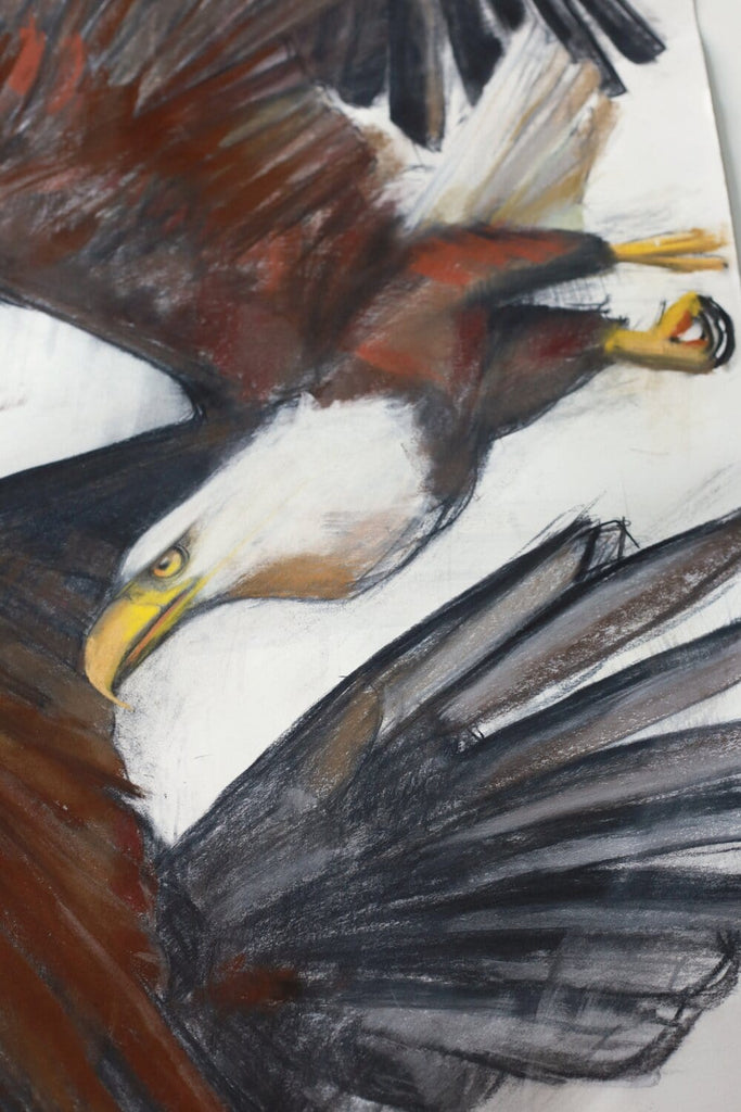 Holly Wach’s original raptor pastel artwork