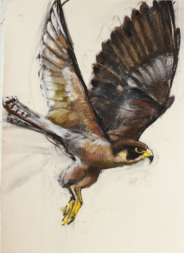 Holly Wach’s original raptor pastel artwork