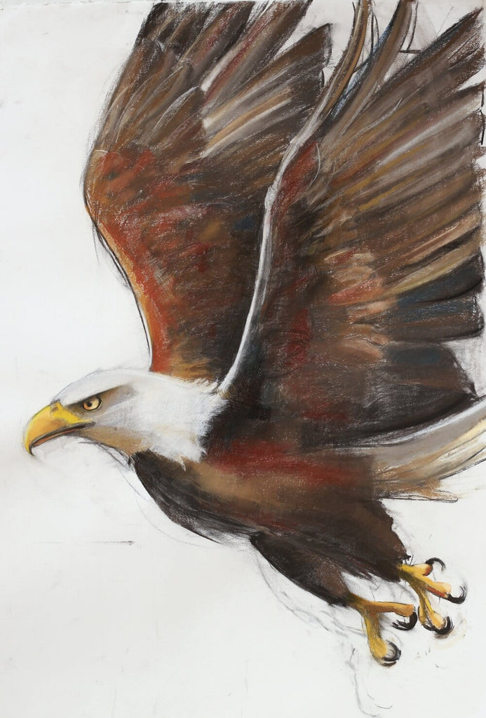 Holly Wach’s original raptor pastel artwork