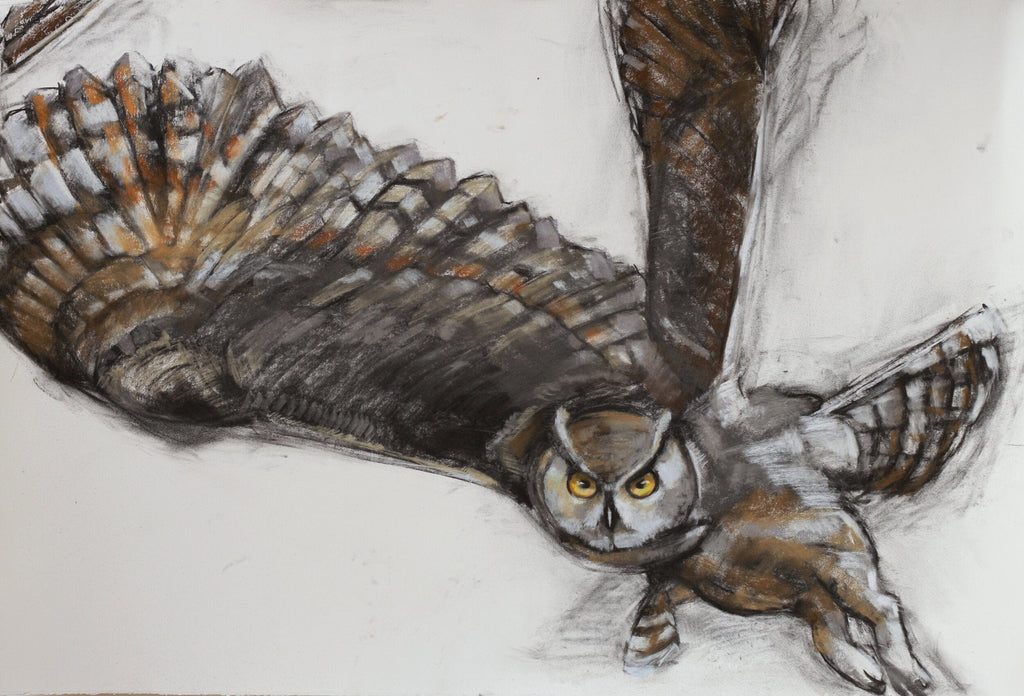 Holly Wach’s original raptor pastel artwork