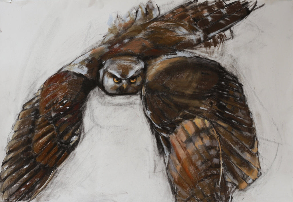 Holly Wach’s original raptor pastel artwork