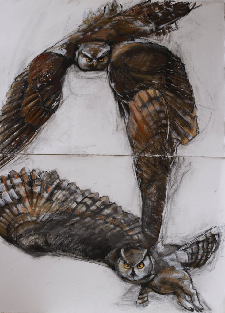 Holly Wach’s original raptor pastel artwork