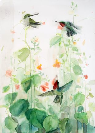Holly Wach "Songbirds & Friends" songbird watercolor prints
