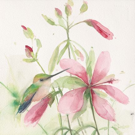 Holly Wach "Songbirds & Friends" songbird watercolor art