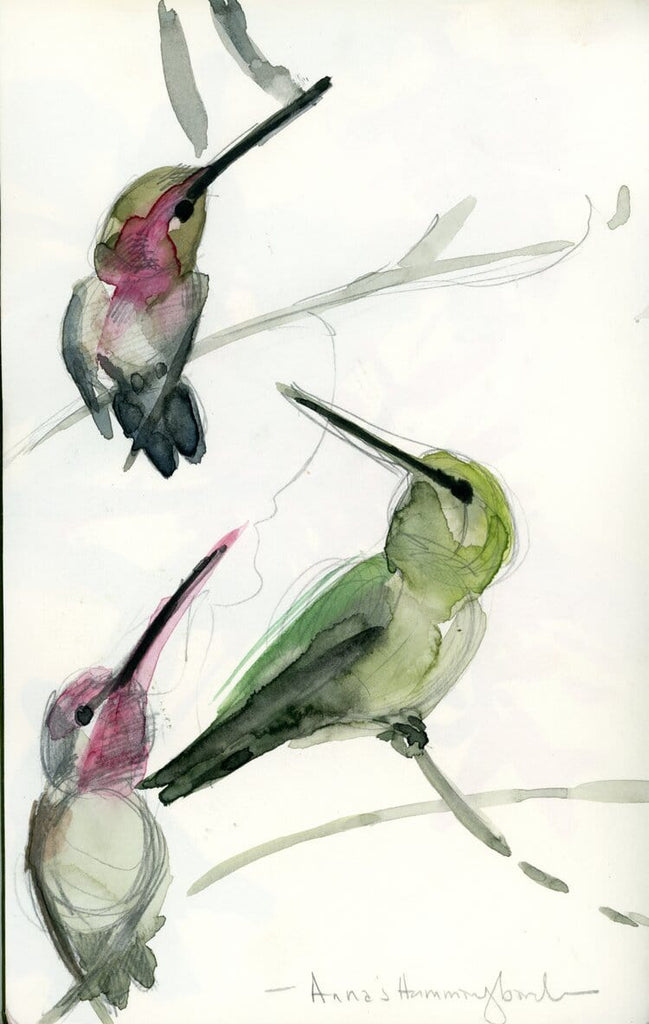 Holly Wach original hummingbird watercolor