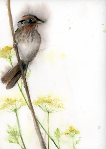 Holly Wach's original songbird watercolor painting