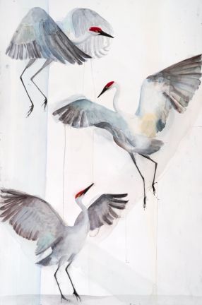 Holly Wach 'Oh, to Fly!' bird watercolor art statement pieces