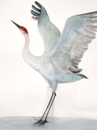 Holly Wach "Oh, to Fly!" shorebird watercolor art