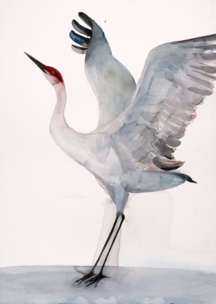 Holly Wach 'Oh, to Fly!' bird watercolor art statement pieces
