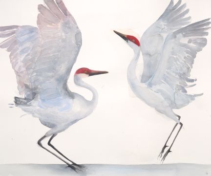 Holly Wach "Oh, to Fly!" shorebird watercolor art