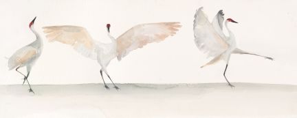 Holly Wach "Oh, to Fly!" shorebird watercolor art