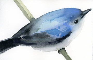 Holly Wach "Little Wonders” original baby bird watercolor paintings