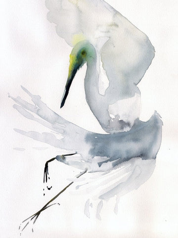 Holly Wach's bird watercolor art painting of Snowy Egret