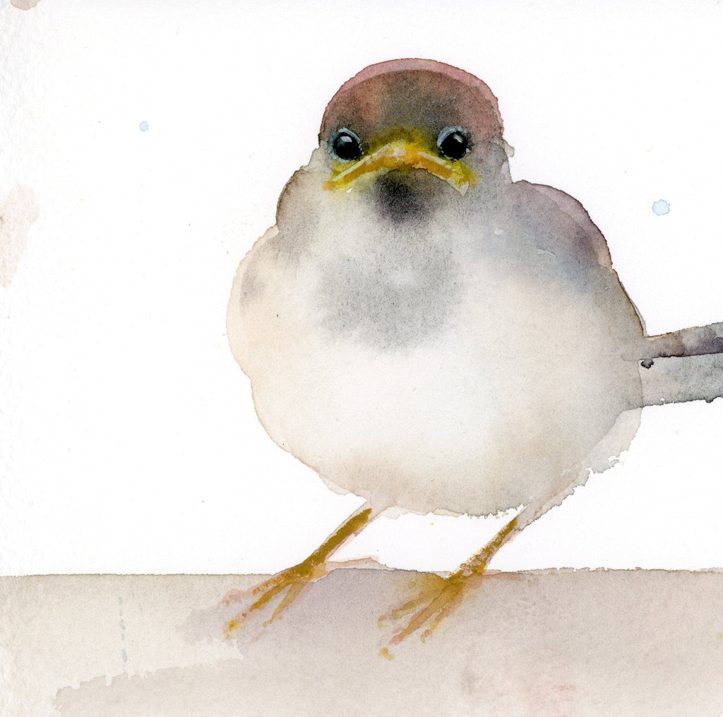 Fledgling Sparrow Sweet and fluffy - Holly Wach "Little Wonders" baby bird watercolor prints