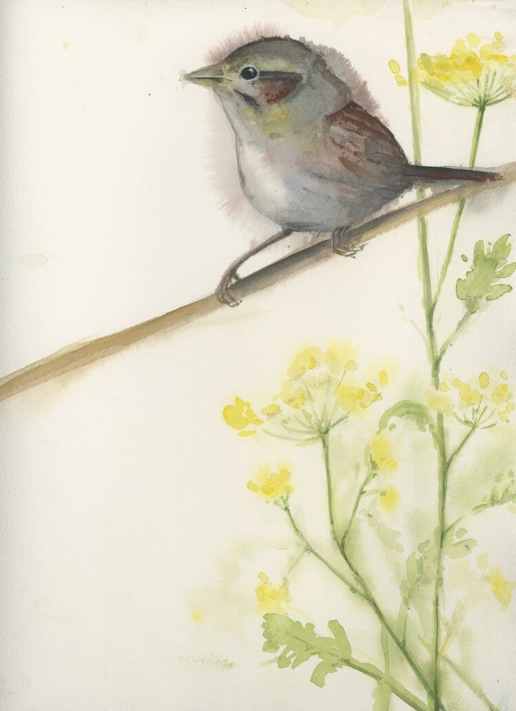 Holly Wach's original songbird watercolor painting