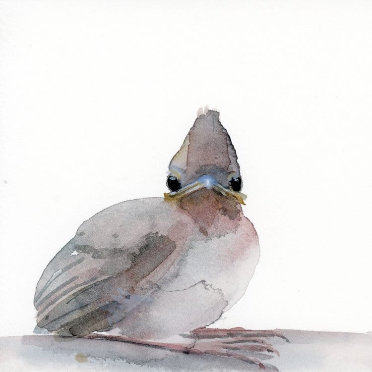 Holly Wach "Little Wonders” original baby bird watercolor painting