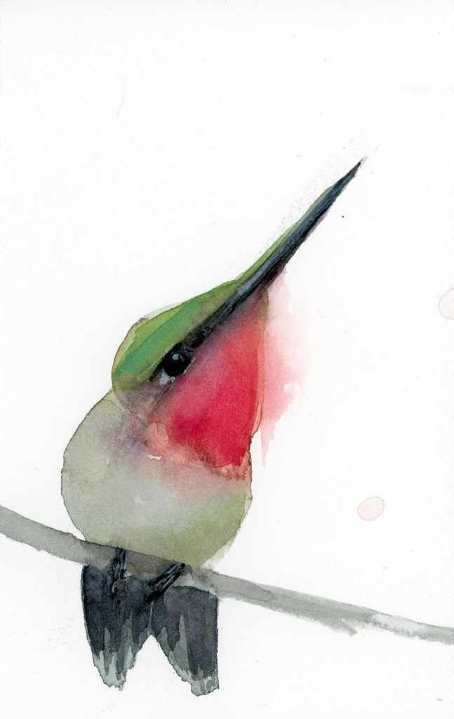 Holly Wach "Little Wonders" baby bird watercolor prints - Sweet and precious Ruby-throated Hummingbird