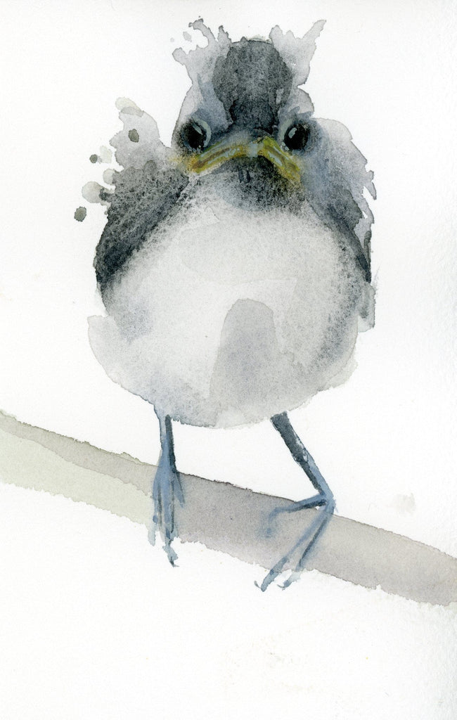 Holly Wach Tufted Titmouse "Little Wonders" baby bird watercolor prints