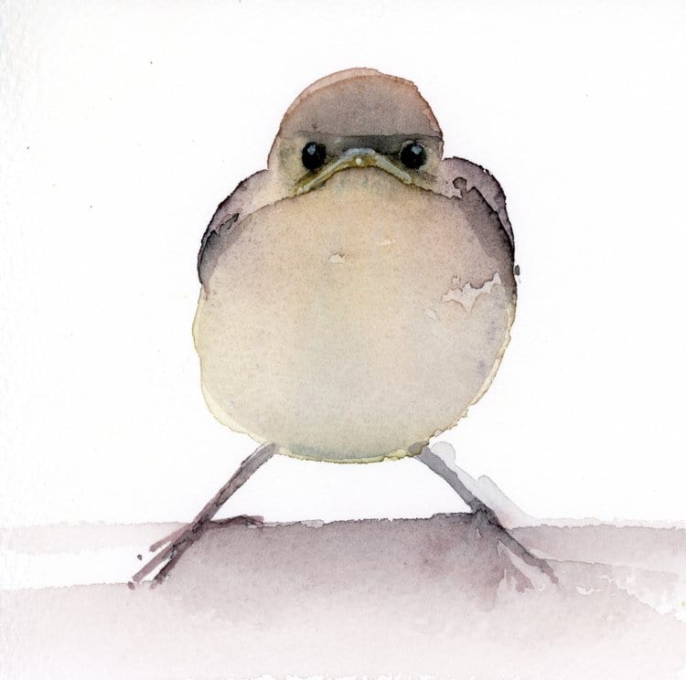Holly Wach "Little Wonders” original baby bird watercolor painting